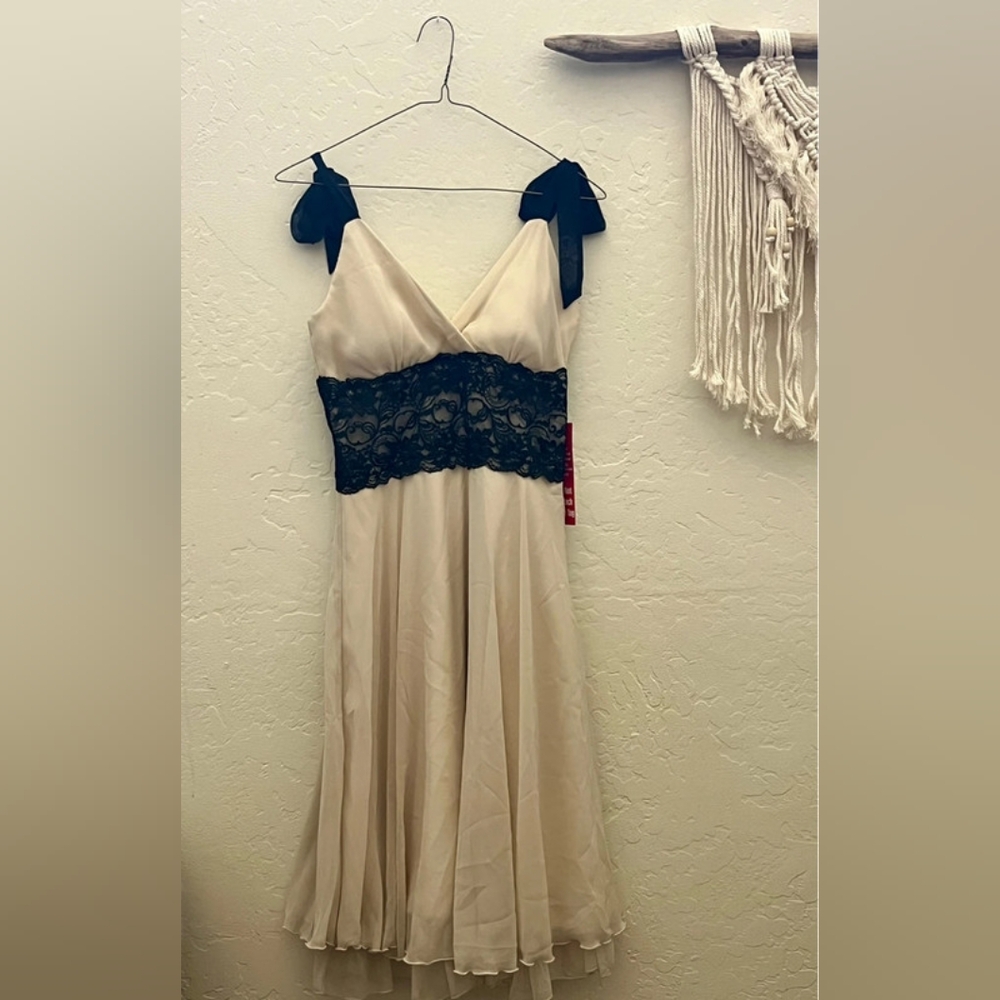 Elegant Cream and Black Lace Dress